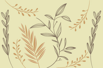 présentation micronutrition 70